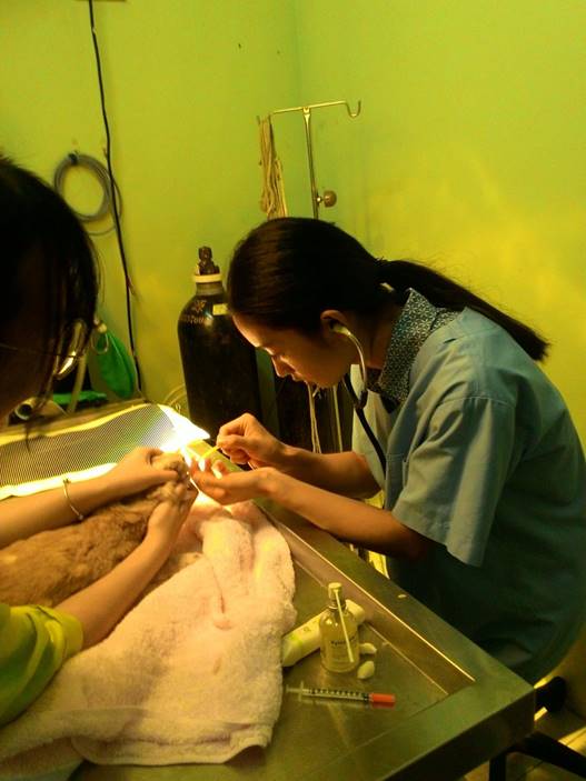 mmexport1536318088045